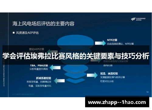 学会评估埃弗拉比赛风格的关键要素与技巧分析 学会评估埃弗拉比赛风格的关键要素与技巧分析