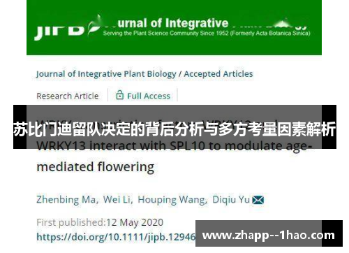苏比门迪留队决定的背后分析与多方考量因素解析