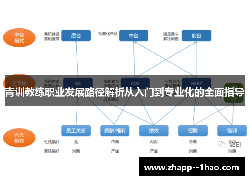青训教练职业发展路径解析从入门到专业化的全面指导 青训教练职业发展路径解析从入门到专业化的全面指导
