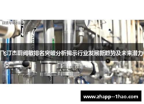 飞汀杰蔚阀敏排名突破分析揭示行业发展新趋势及未来潜力